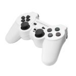 Game Pad ESPERANZA TROOPER, vibration, PS3/PC, USB, black/white, EGG107W