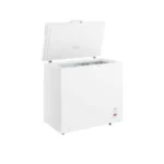 Eurostar zamrzivač BD-100