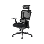 Stolica SHARKOON OfficePal C50