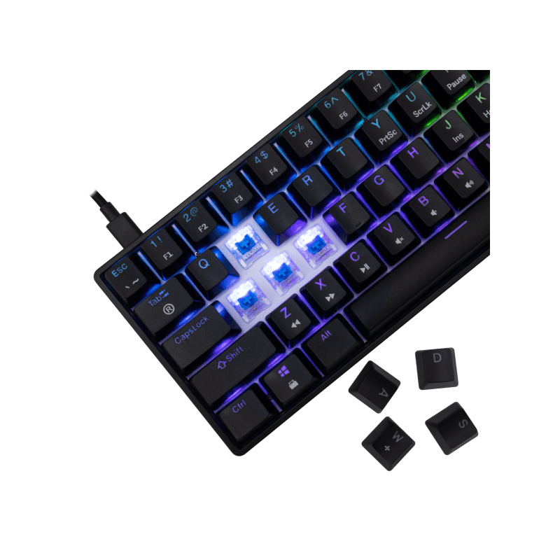 White Shark TASTATURA GK-004121 SHINOBI-2 Crna – Mehanicka / US – PLAVI.SW. White Shark TASTATURA GK-004121 SHINOBI-2 Crna - Mehanicka / US - PLAVI.SW. - Image 1