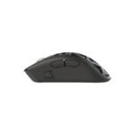 White Shark MIŠ WGM-5025 MORIEN / 12.000DPI- Crni / Wireless