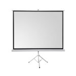 Platno za projektor na stalku tripodu Everest TPP-240 240x240cm, 40675